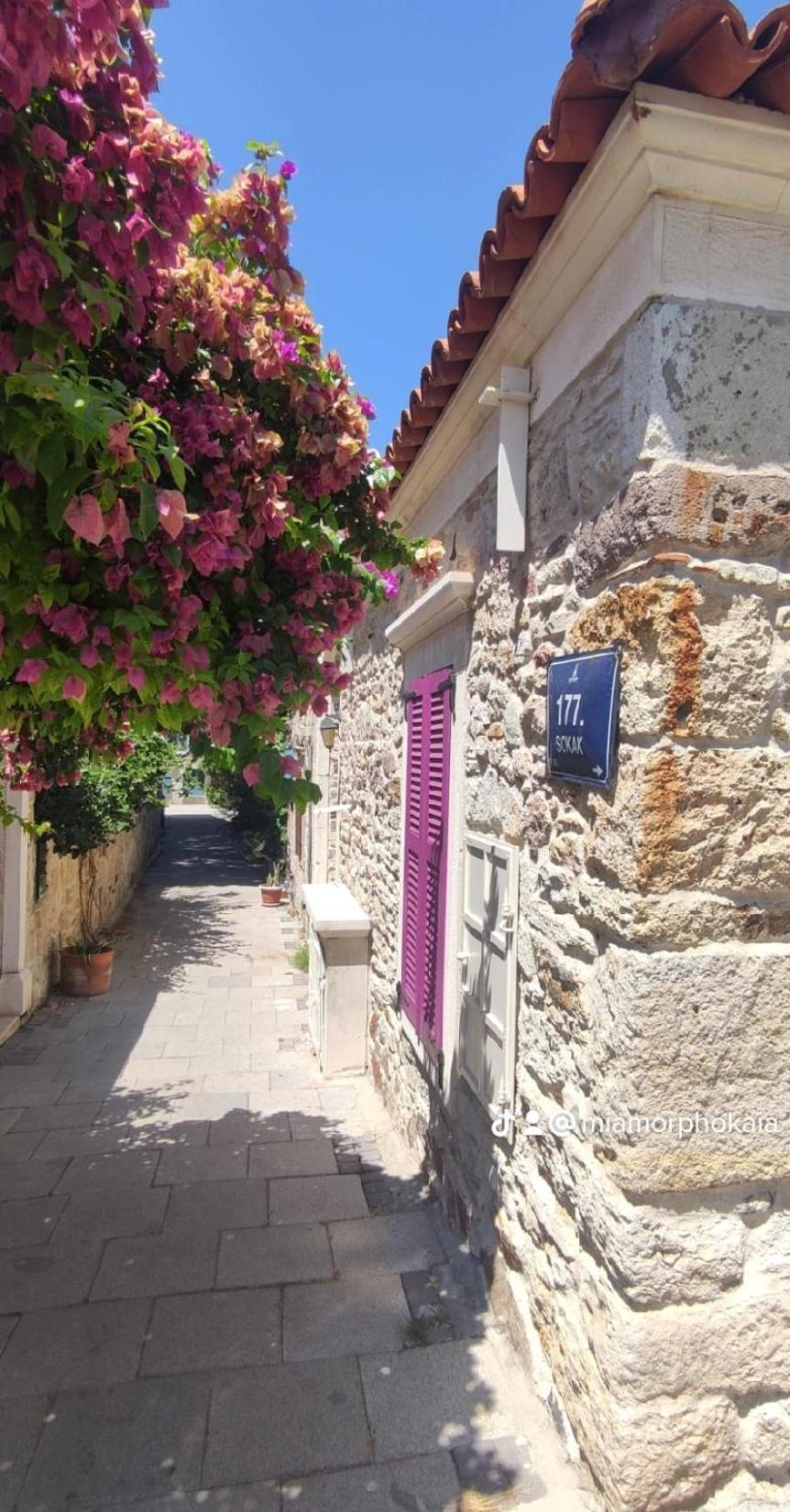 Mi Amor Phokaia Foça Exterior foto